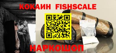 крисы Камышлов
