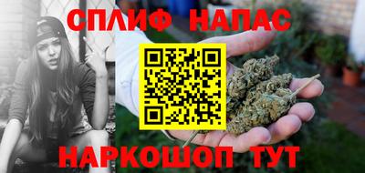 крисы Камышлов