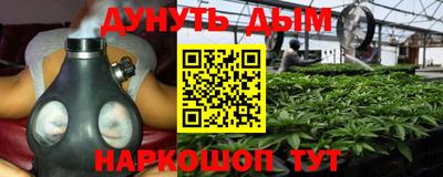apvp Кандалакша