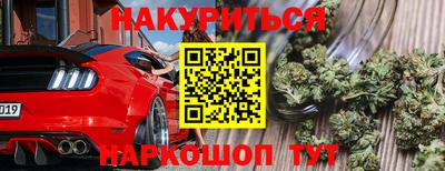 крисы Камышлов