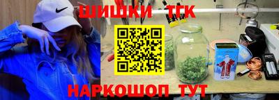 крисы Камышлов
